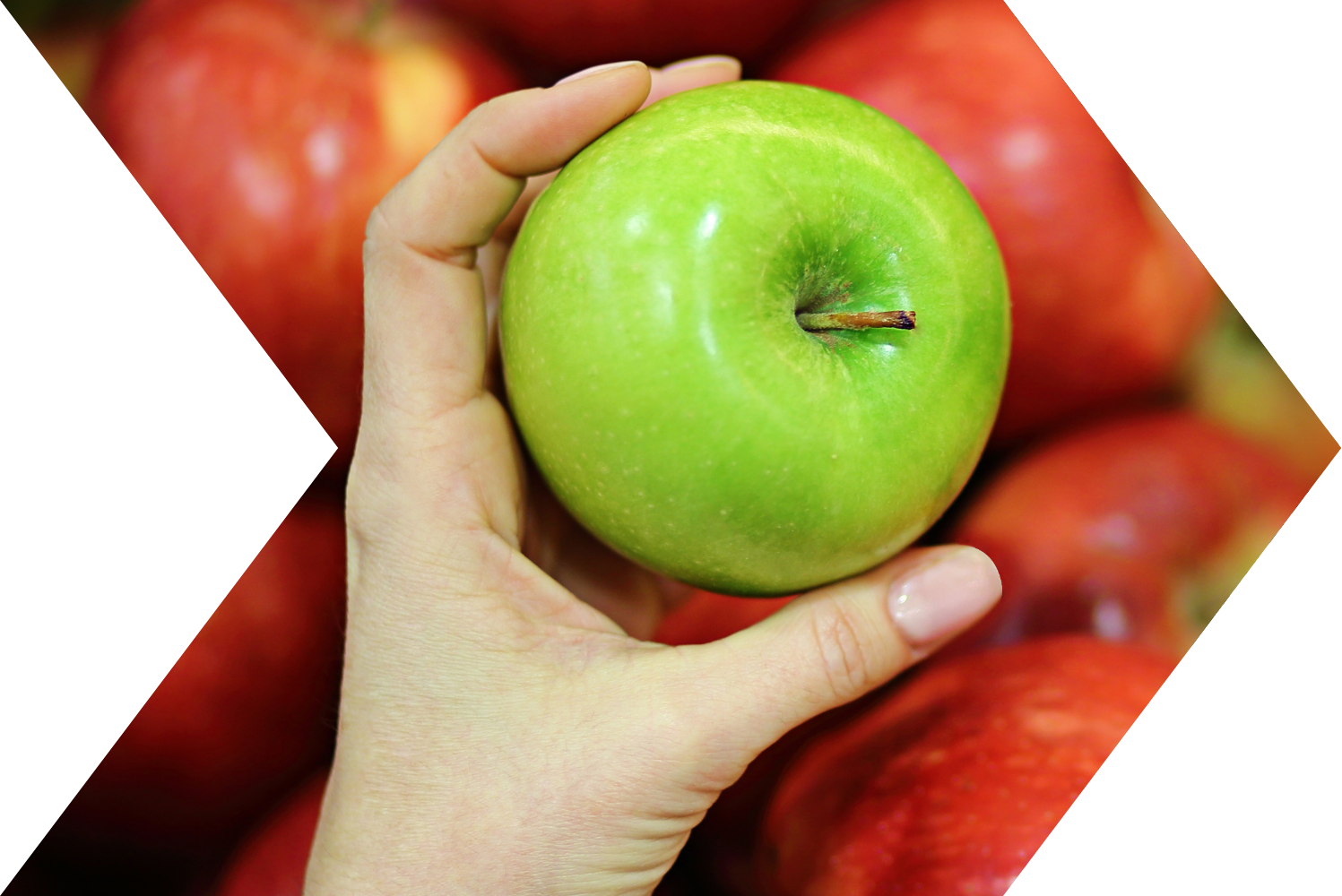 Picking the perfect apple